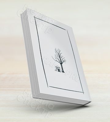 Нет школ никаких. ТОЛЬКО СОВЕСТЬ... Фото №2