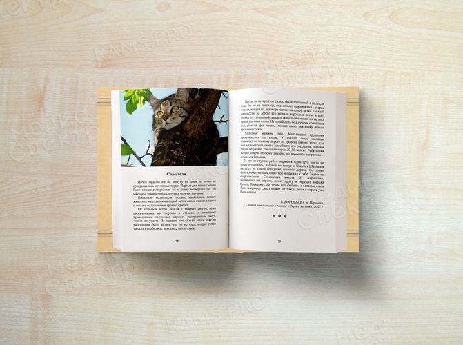 Спешите делать добро — фото 2