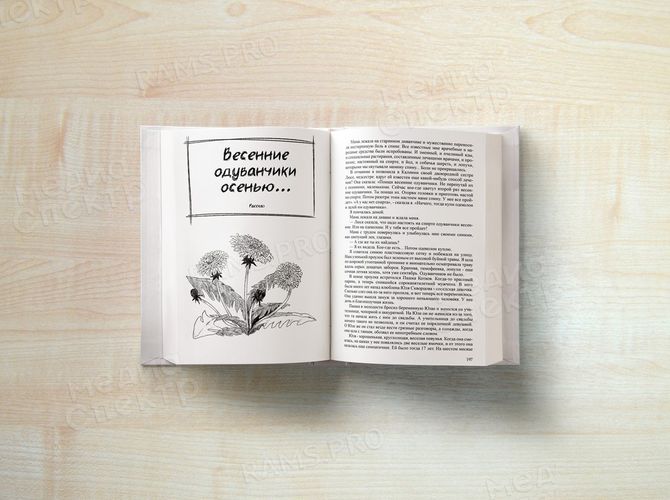 Повести и рассказы о Родине — фото 7