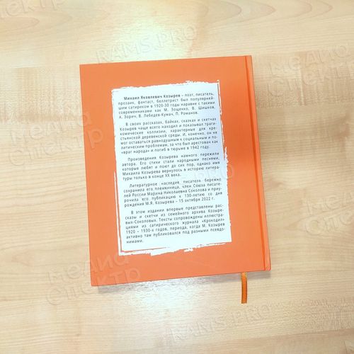 Книга «Крокодил идет по городу» — фото 3