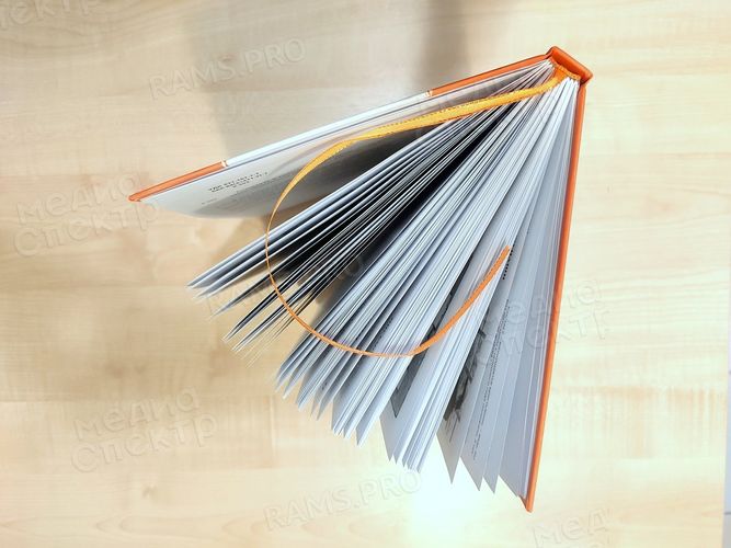 Книга «Крокодил идет по городу» — фото 16