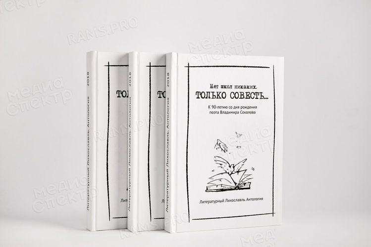 Нет школ никаких. Только совесть... — фото 1