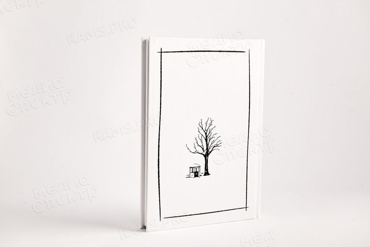 Нет школ никаких. Только совесть... — фото 2