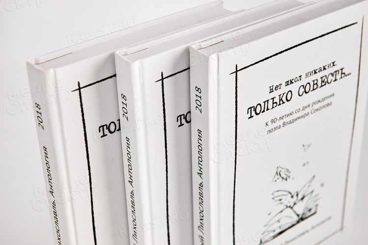 Нет школ никаких. Только совесть... — фото 4