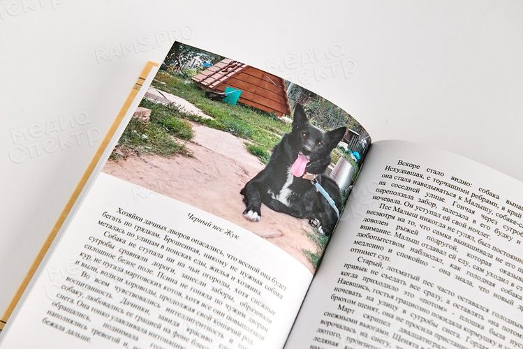 Спешите делать добро — фото 8