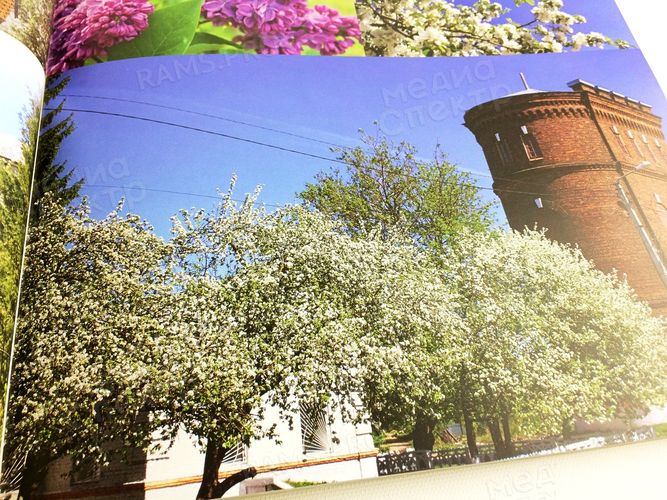 Книга-альбом «Далёкое-близкое. Родное» — фото 16