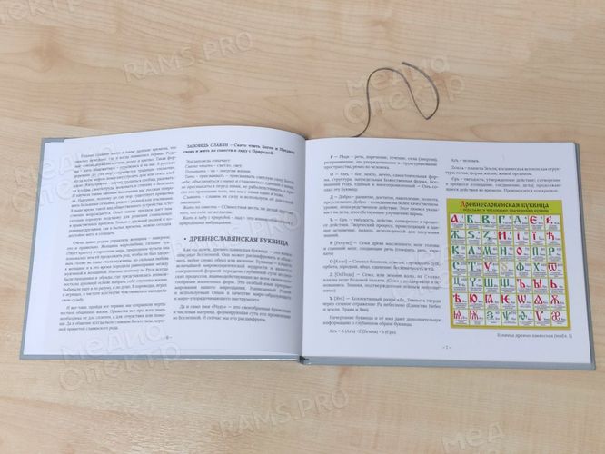 Книга-семейная летопись «И калинка, и малинка». Генограмма семейного древа — фото 5