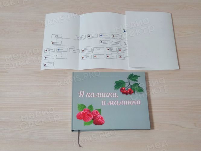 Книга-семейная летопись «И калинка, и малинка». Генограмма семейного древа — фото 4