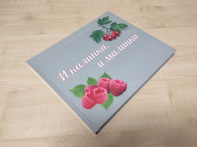 Книга-семейная летопись «И калинка, и малинка». Генограмма семейного древа — фото 2