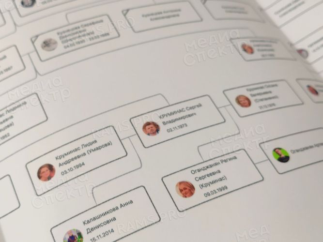 Альбом истории семьи «И калинка, и малинка». Генограмма семейного древа — фото 8