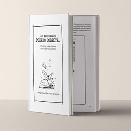 Нет школ никаких. Только совесть...